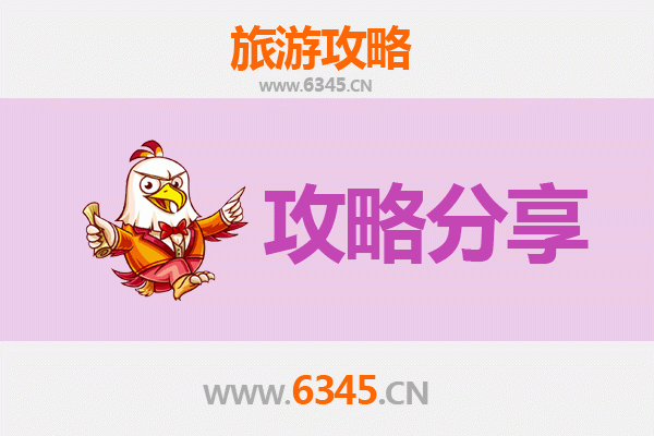 莱芜莱城出发湄洲岛旅游攻略：跟团 vs 自由行深度解析